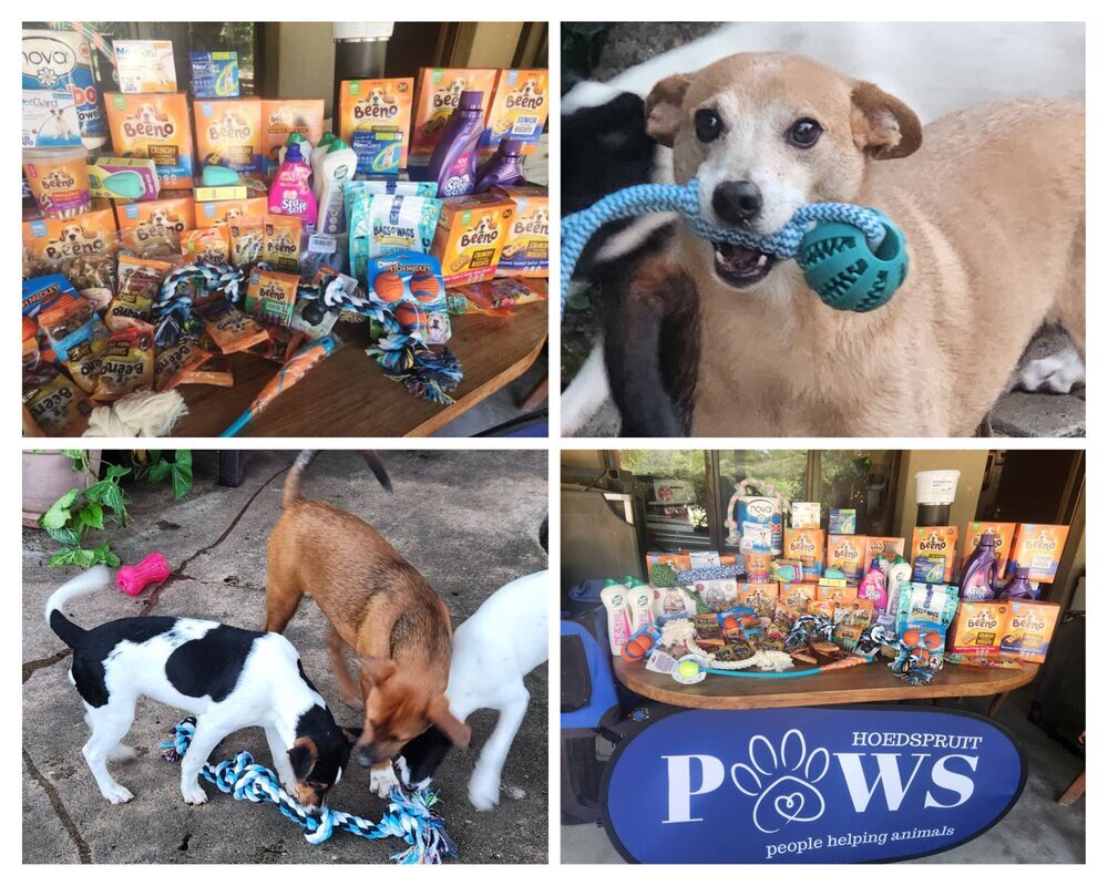 Hoedspruit Paws